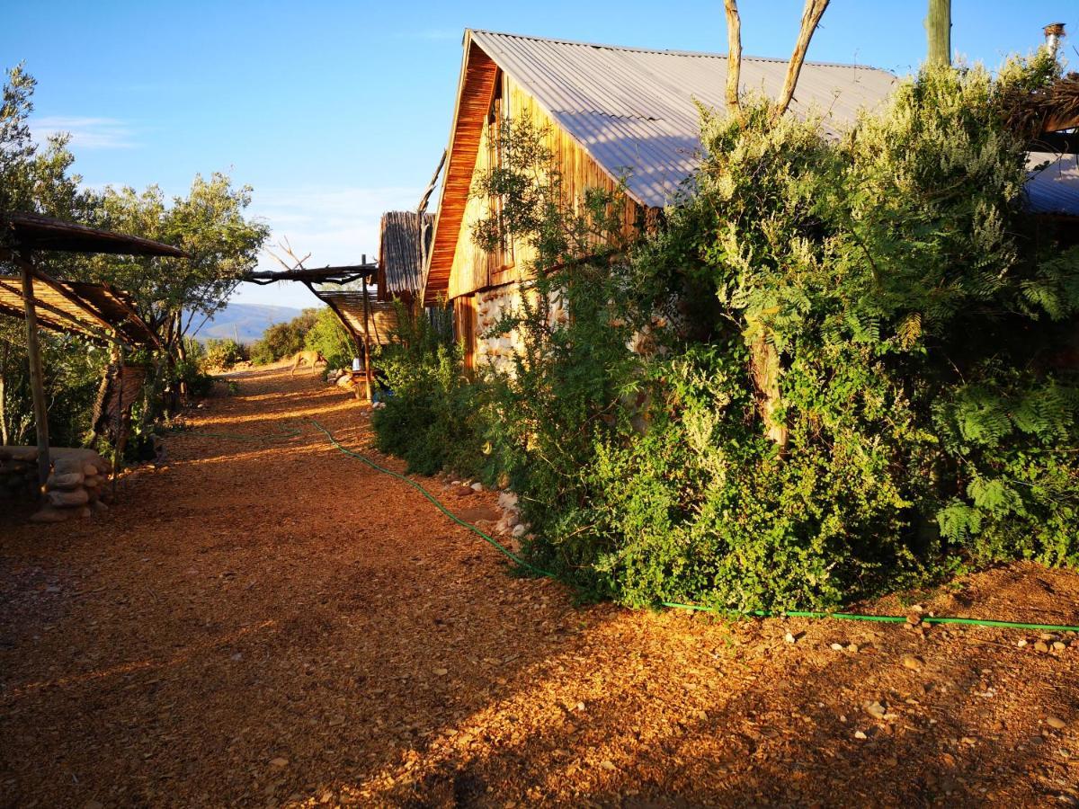 Amber Lagoon Backpackers Lodge Vleirivier Bagian luar foto