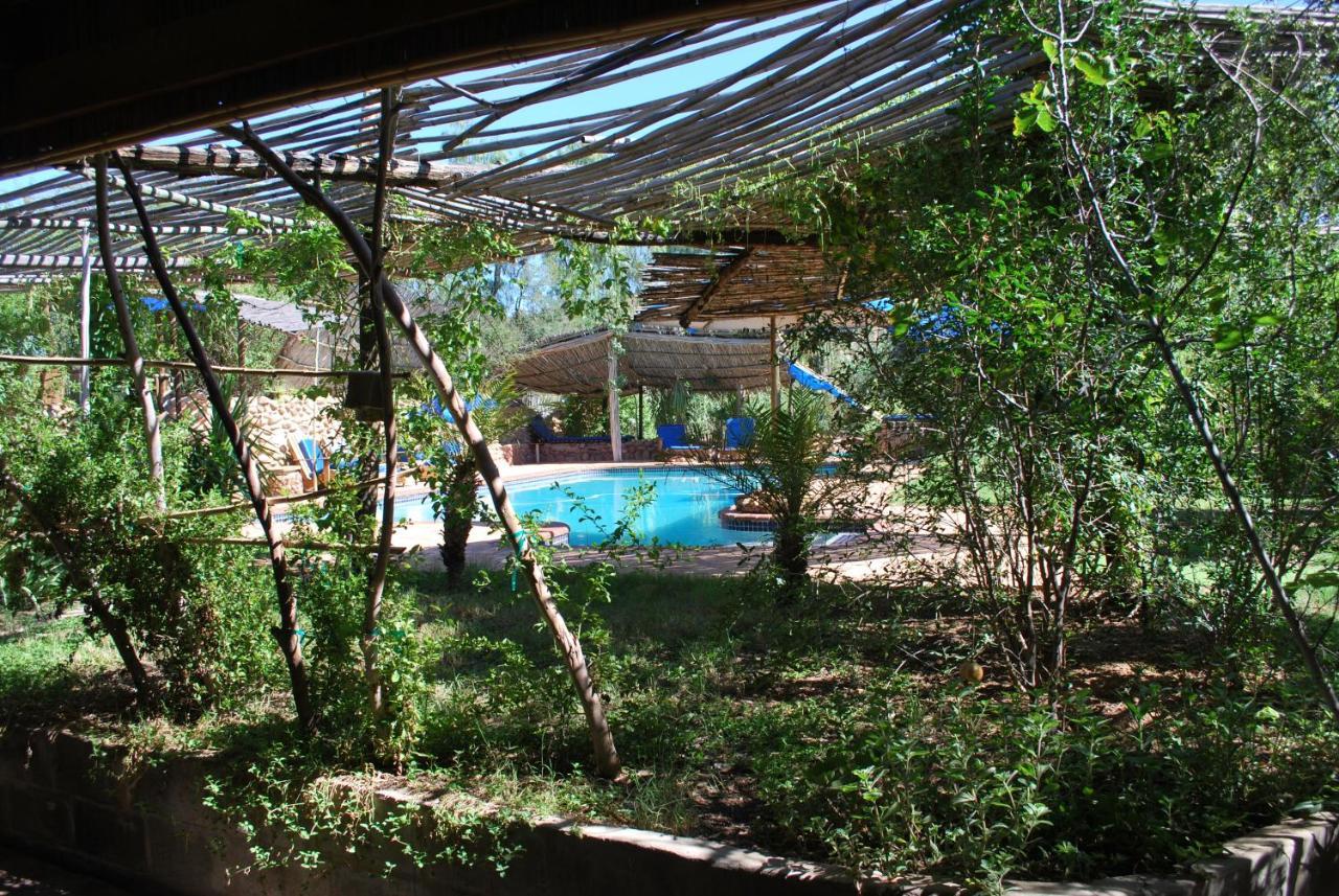 Amber Lagoon Backpackers Lodge Vleirivier Bagian luar foto