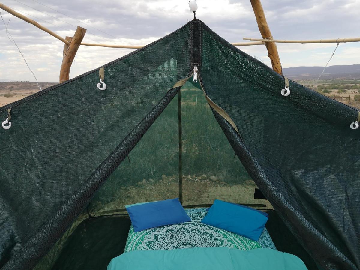 Amber Lagoon Backpackers Lodge Vleirivier Bagian luar foto