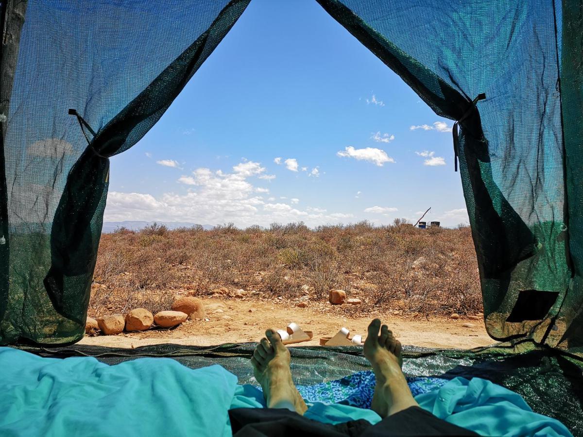 Amber Lagoon Backpackers Lodge Vleirivier Bagian luar foto