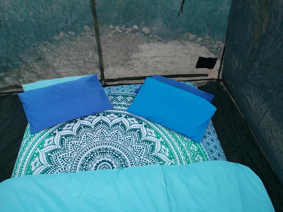 Amber Lagoon Backpackers Lodge Vleirivier Bagian luar foto
