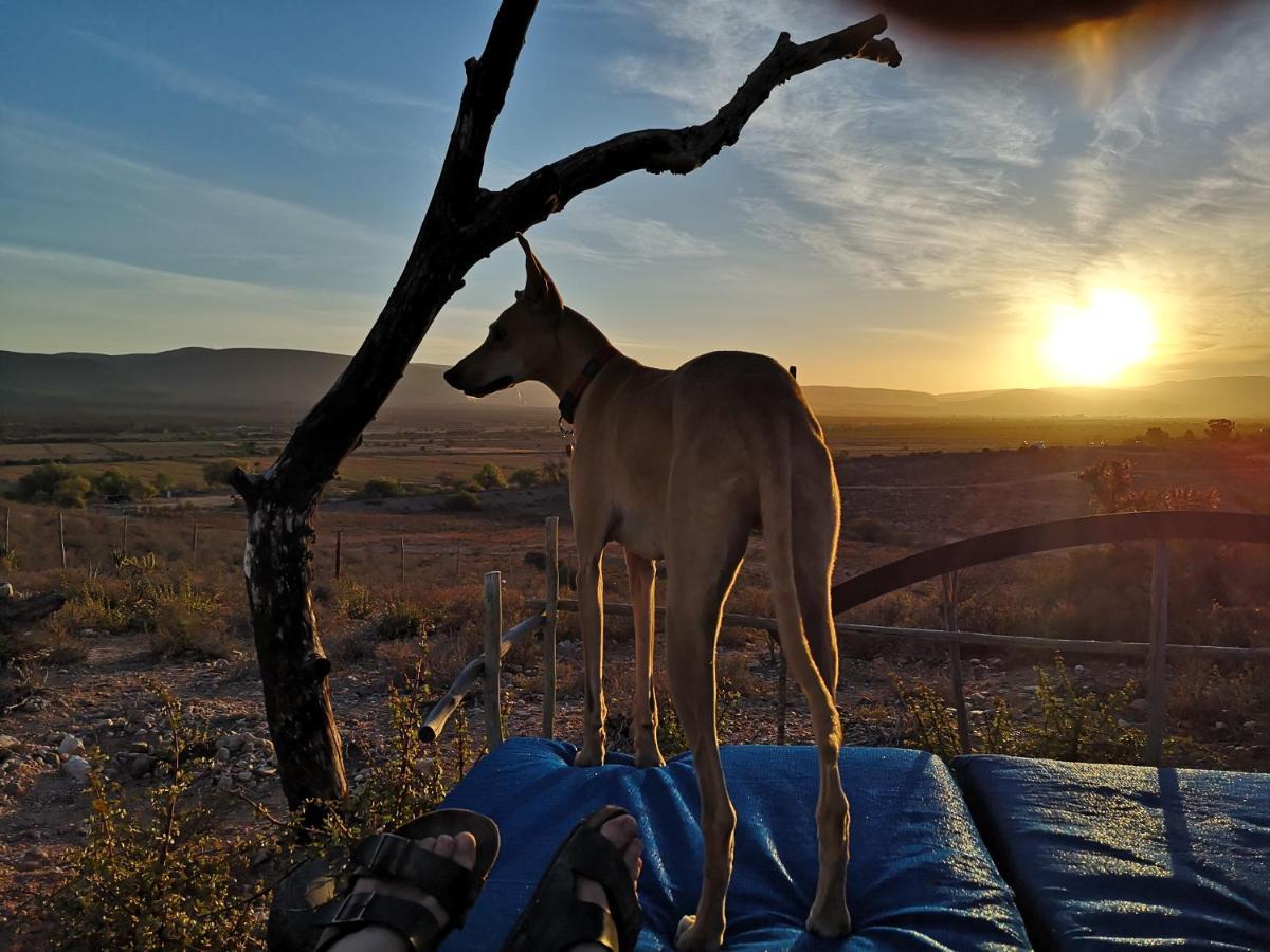 Amber Lagoon Backpackers Lodge Vleirivier Bagian luar foto