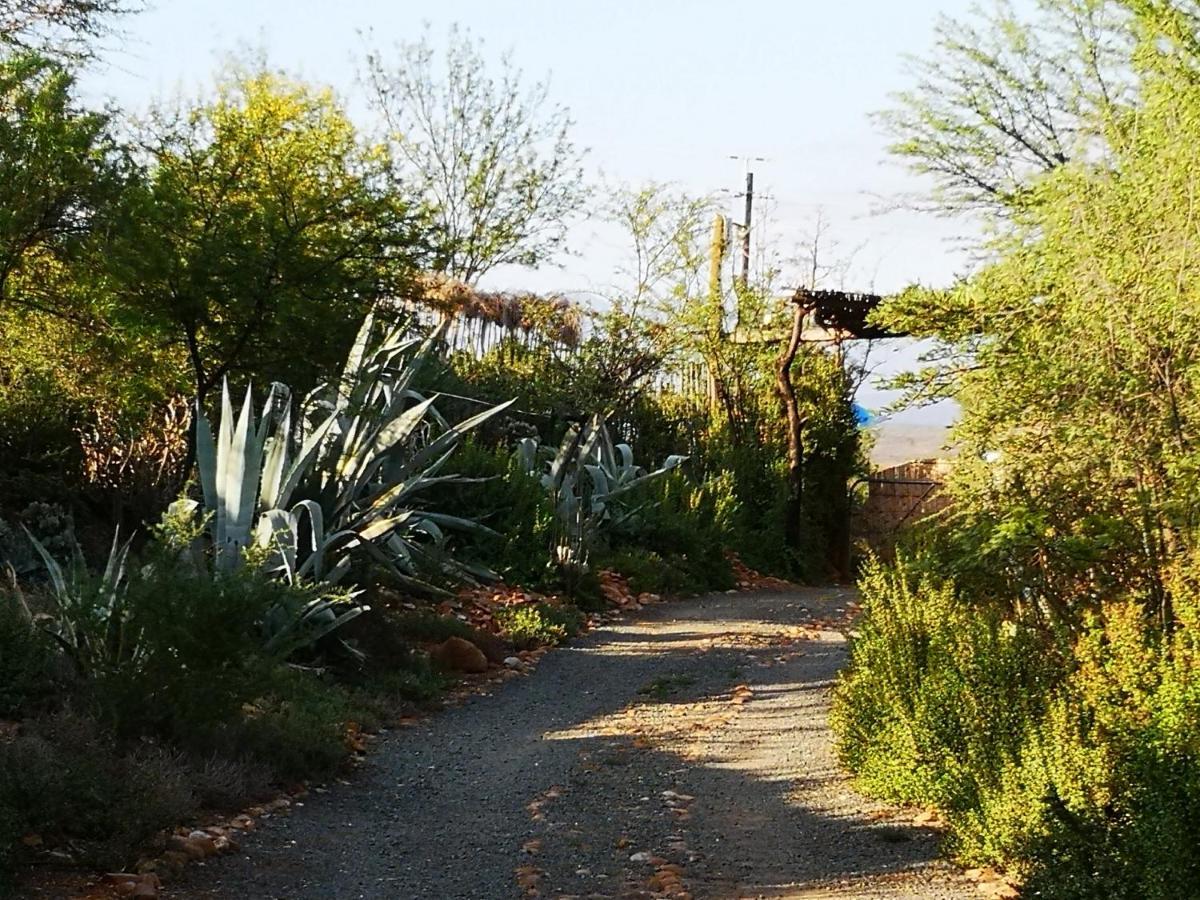 Amber Lagoon Backpackers Lodge Vleirivier Bagian luar foto